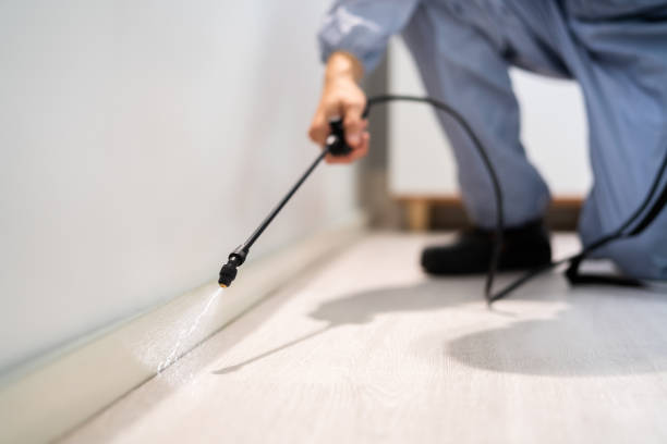 Licensed Pest Control service in Salem, IL - Show Me Pest Control