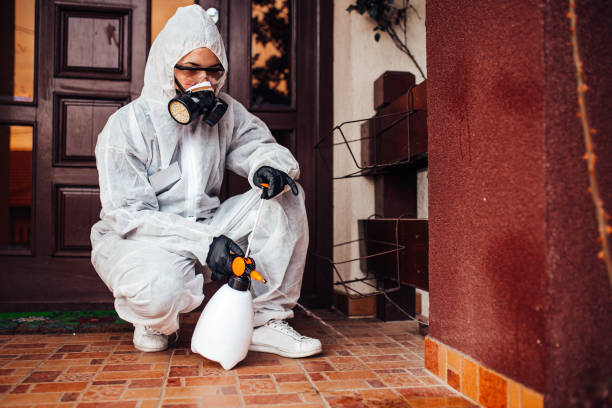 Attic and Crawl Space Rodent Treatment in Salem